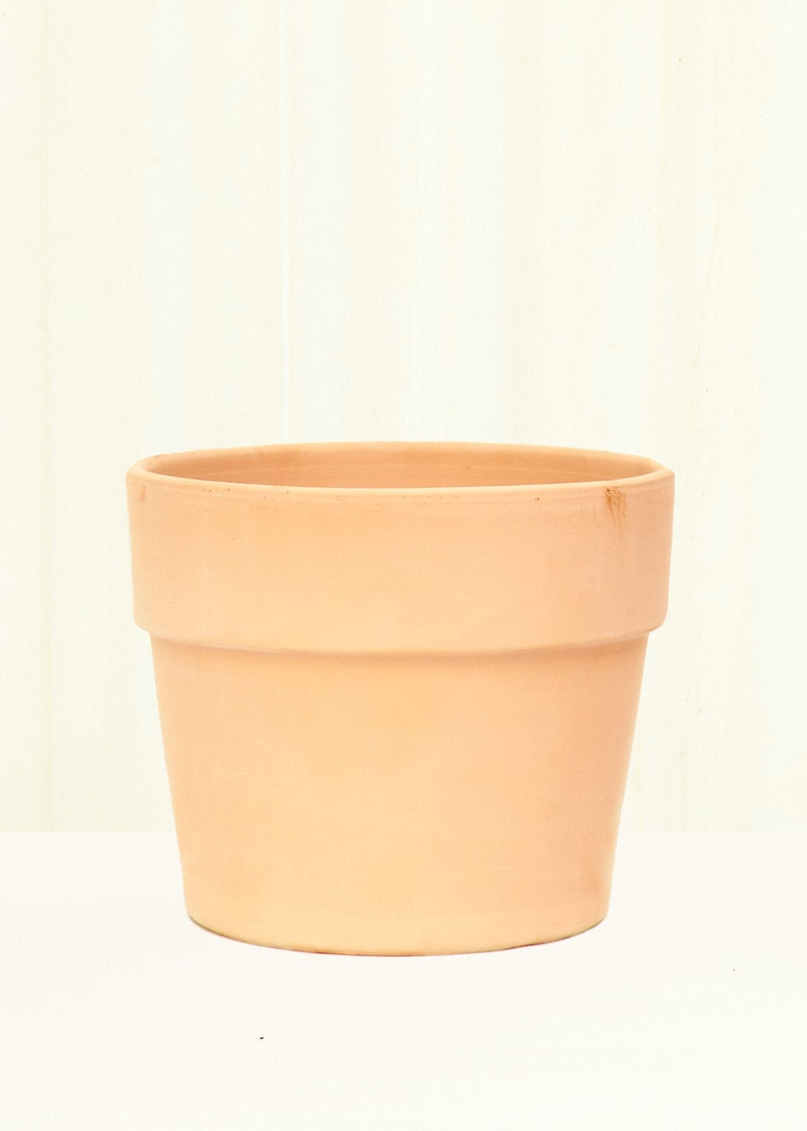 Terracotta Perfetto Cache Pot Planter Deroma 