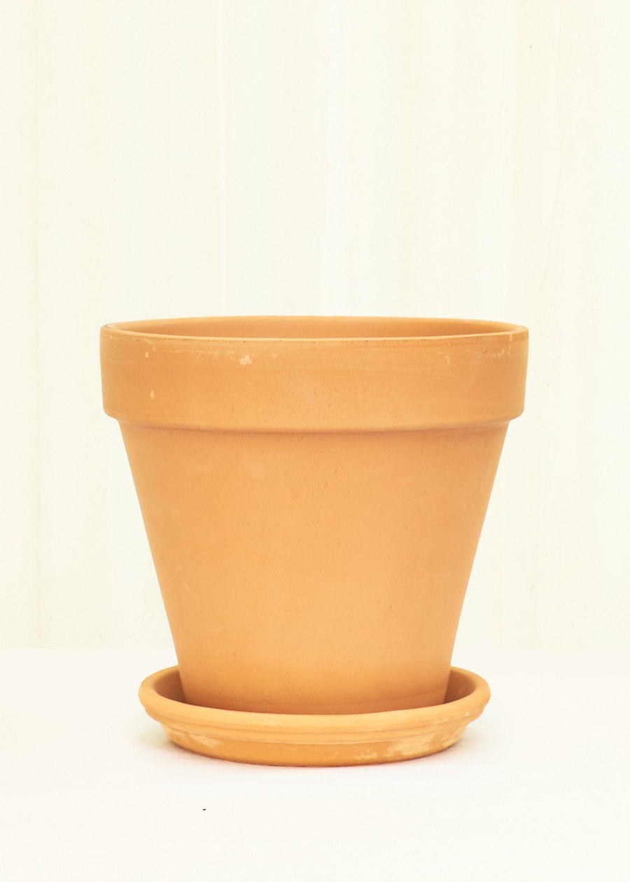 Standard Terracotta Planter with Tray Planter Deroma 