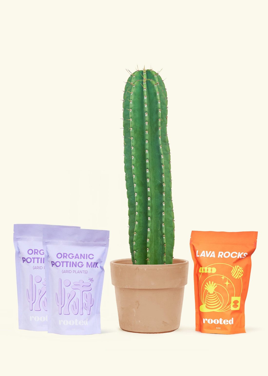 DIY Peruvian Apple Cactus Kit