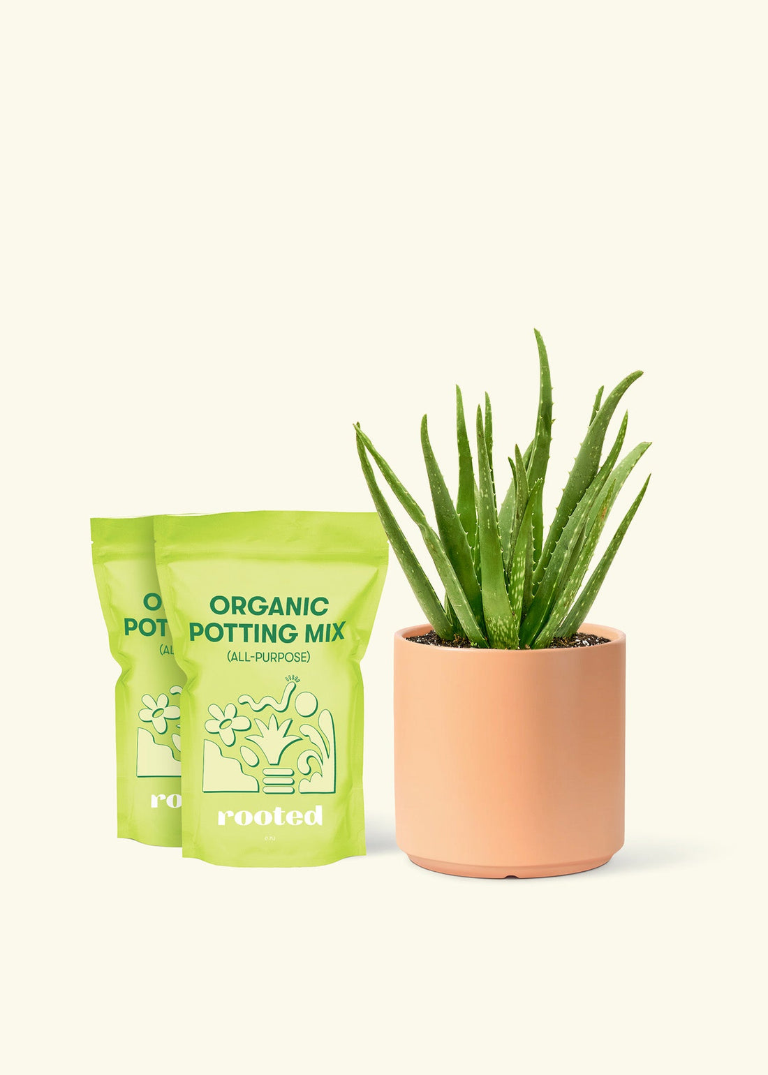 Medium Aloe Vera in a peach cylinder pot and 2 bags of soil.