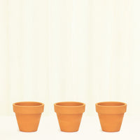 Mini Standard Terracotta Planter Set Planter Deroma 