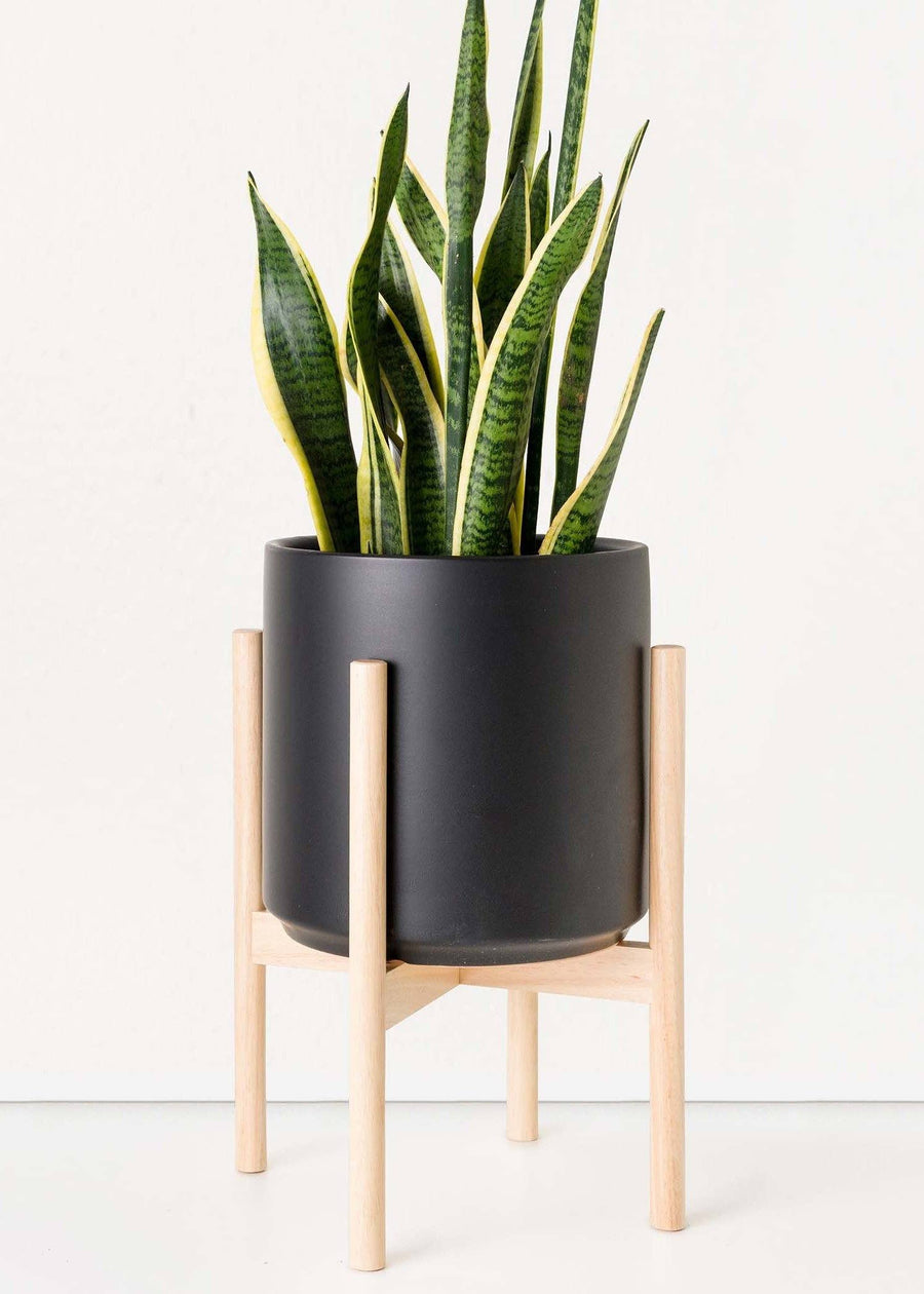 Classic Ceramic Planter + Natural Wood Stand Set Planter Peach & Pebble Black LG Natural