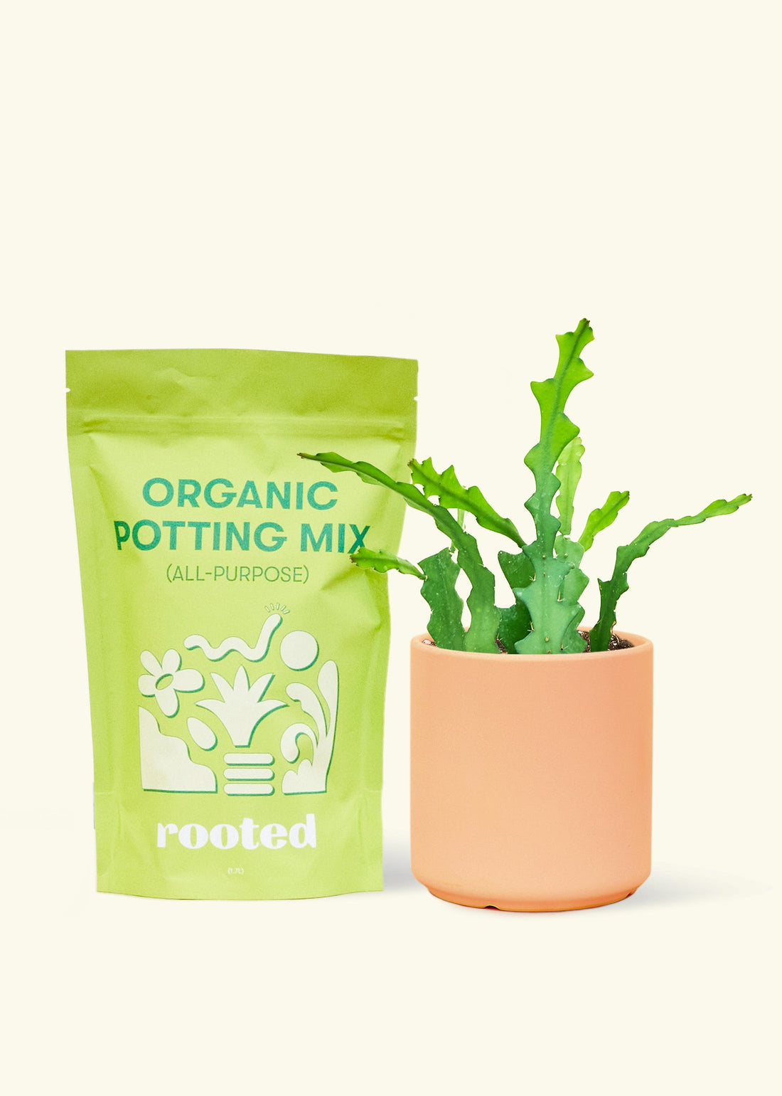 A bag of Organic Potting Mix to the left of a Fishbone Cactus in a peach cylinder ceramic pot.