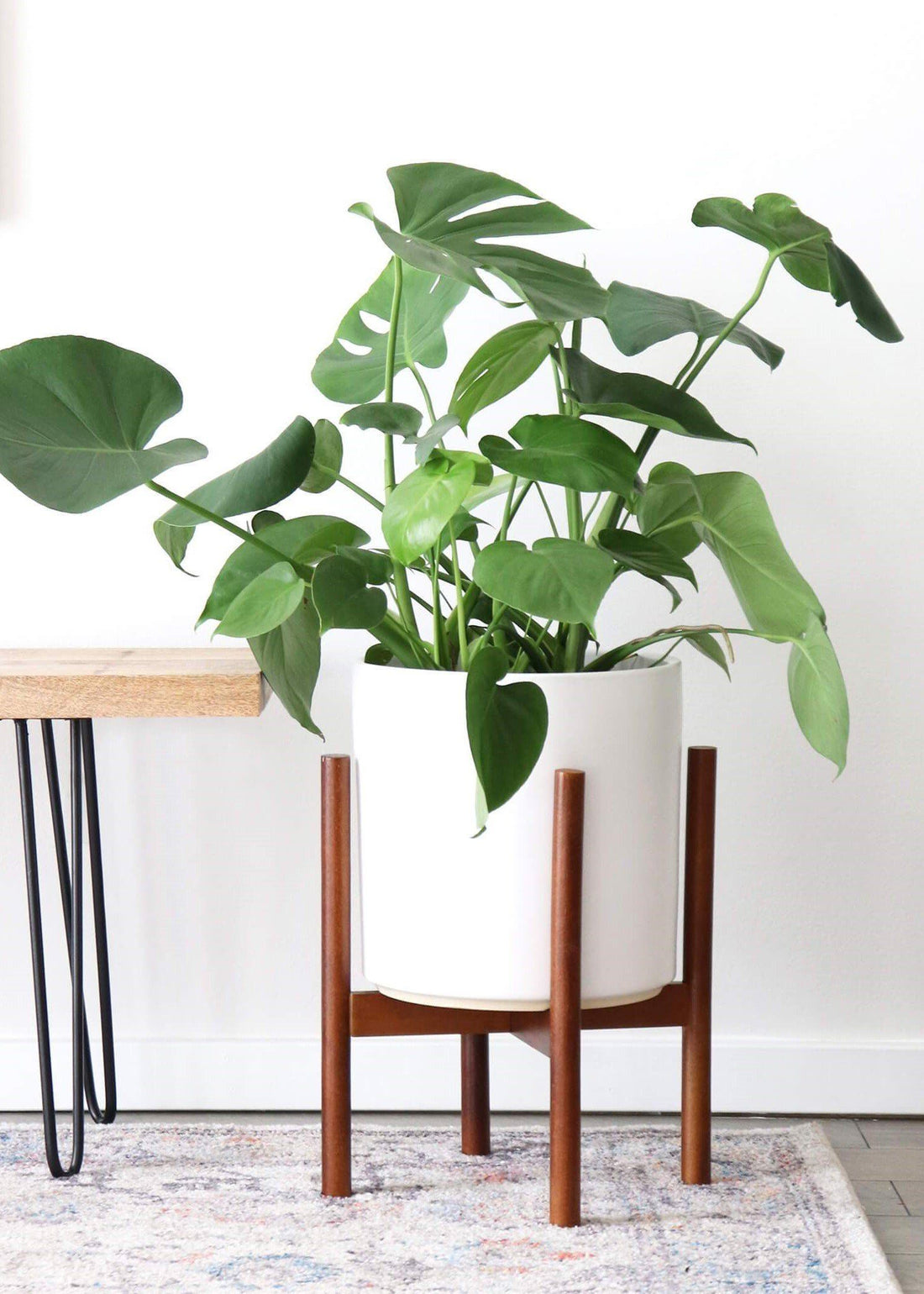 Classic Ceramic Planter + Maple Wood Stand Set Planter Peach & Pebble 