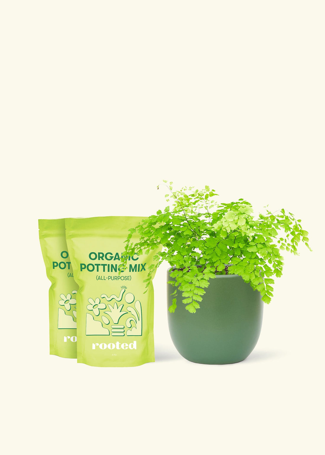 Medium Maidenhair Fern (Adiantum aethiopicum) in a green rounded pot and two bags of soil.