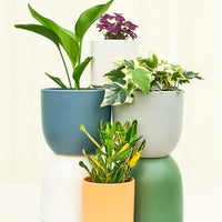 Ceramic Egg-Shaped Planter Planter Peach & Pebble 