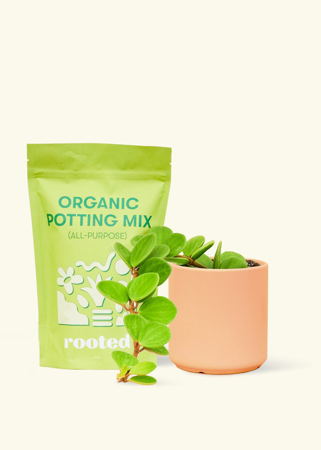 A bag of Organic Potting Mix to the left of a Peperomia &