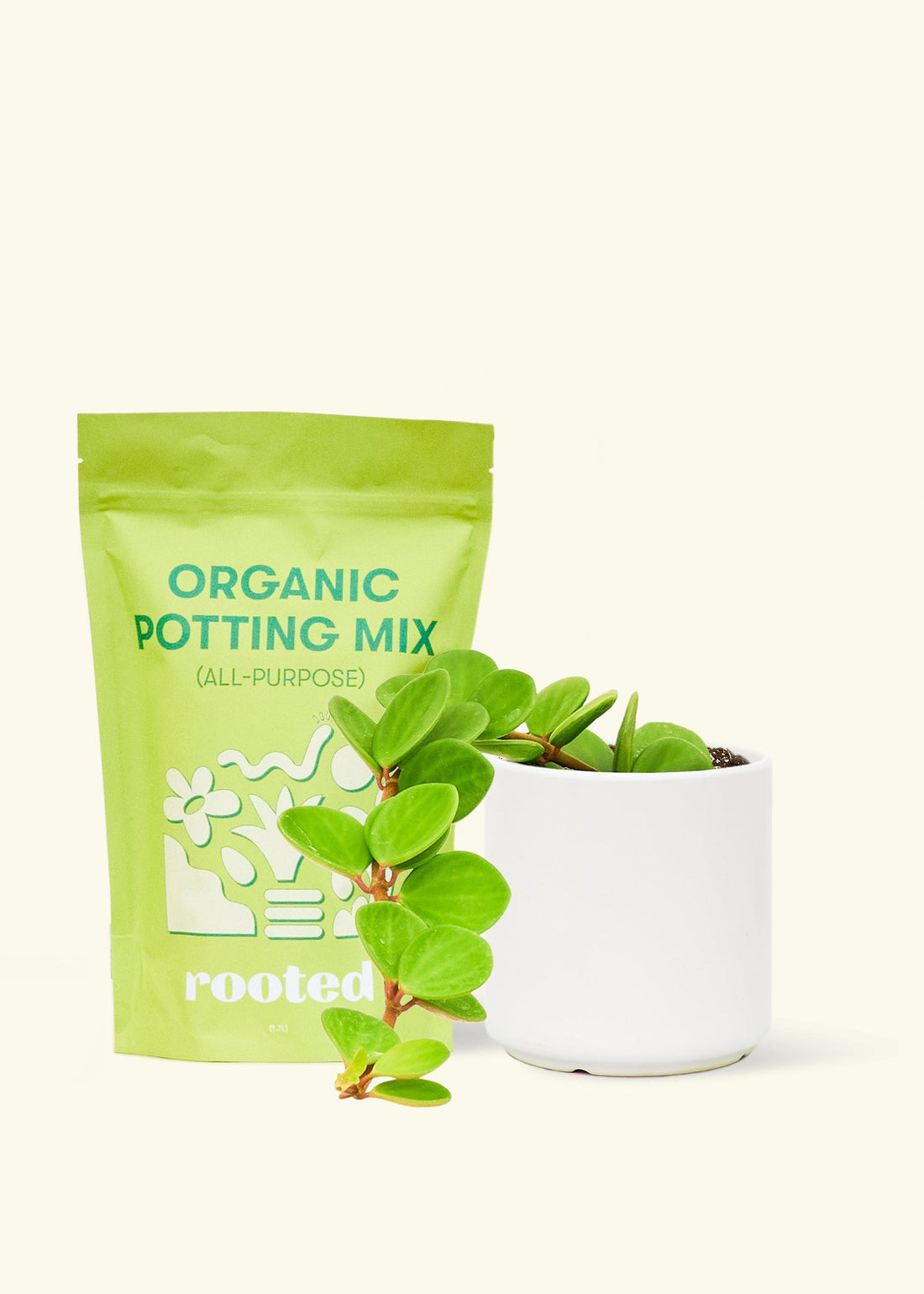 A bag of Organic Potting Mix to the left of a Peperomia &