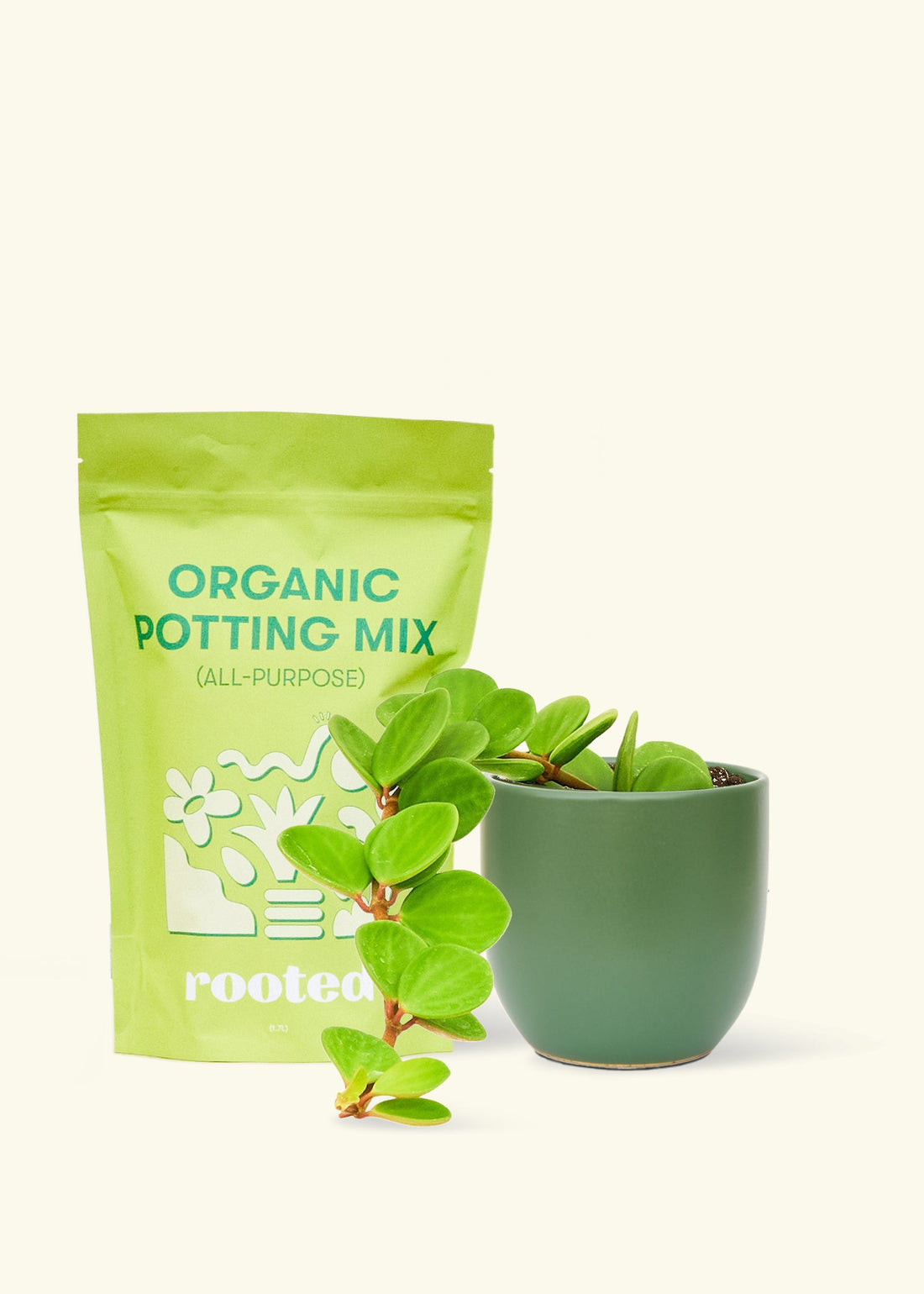 A bag of Organic Potting Mix to the left of a Peperomia &