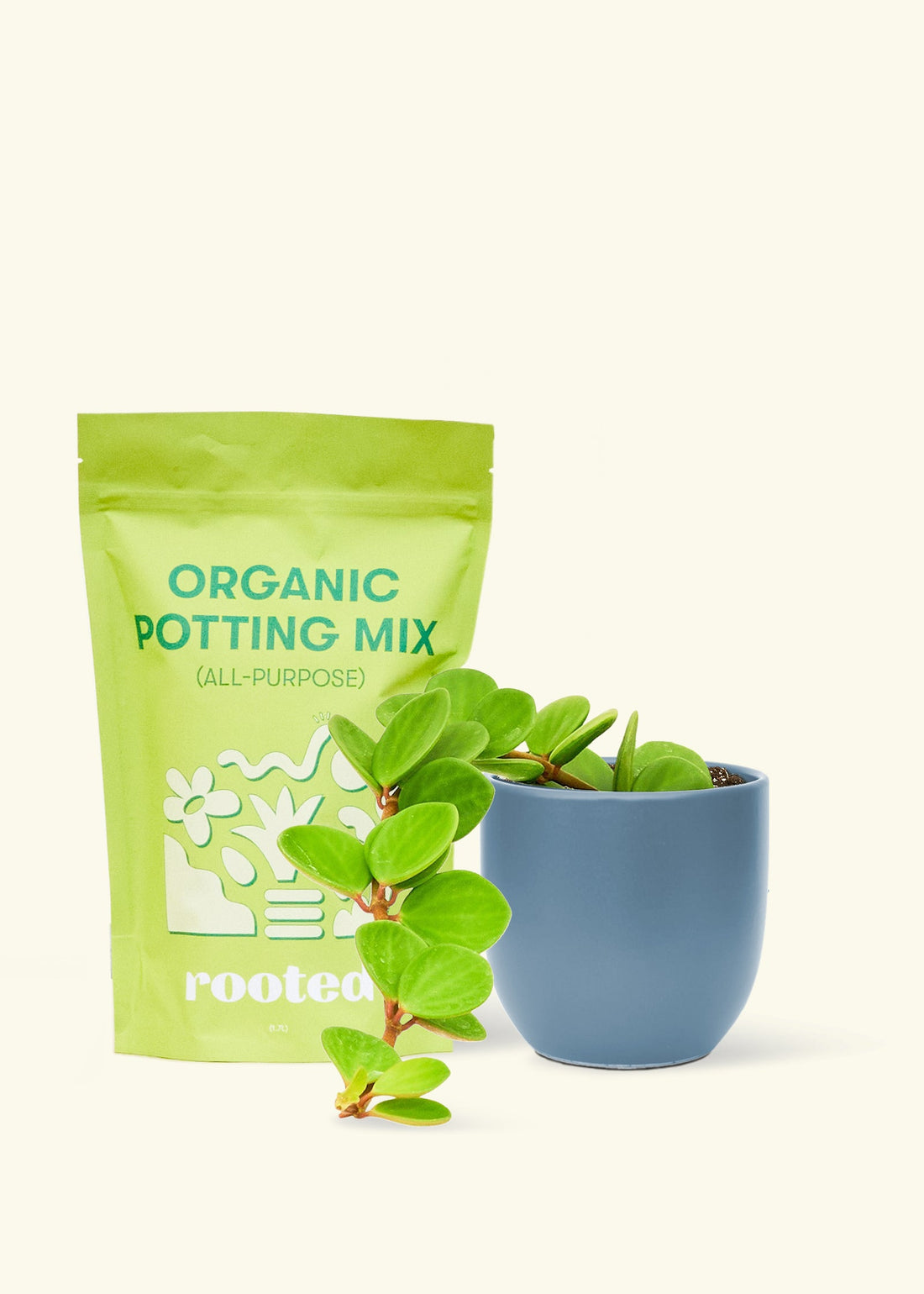 A bag of Organic Potting Mix to the left of a Peperomia &