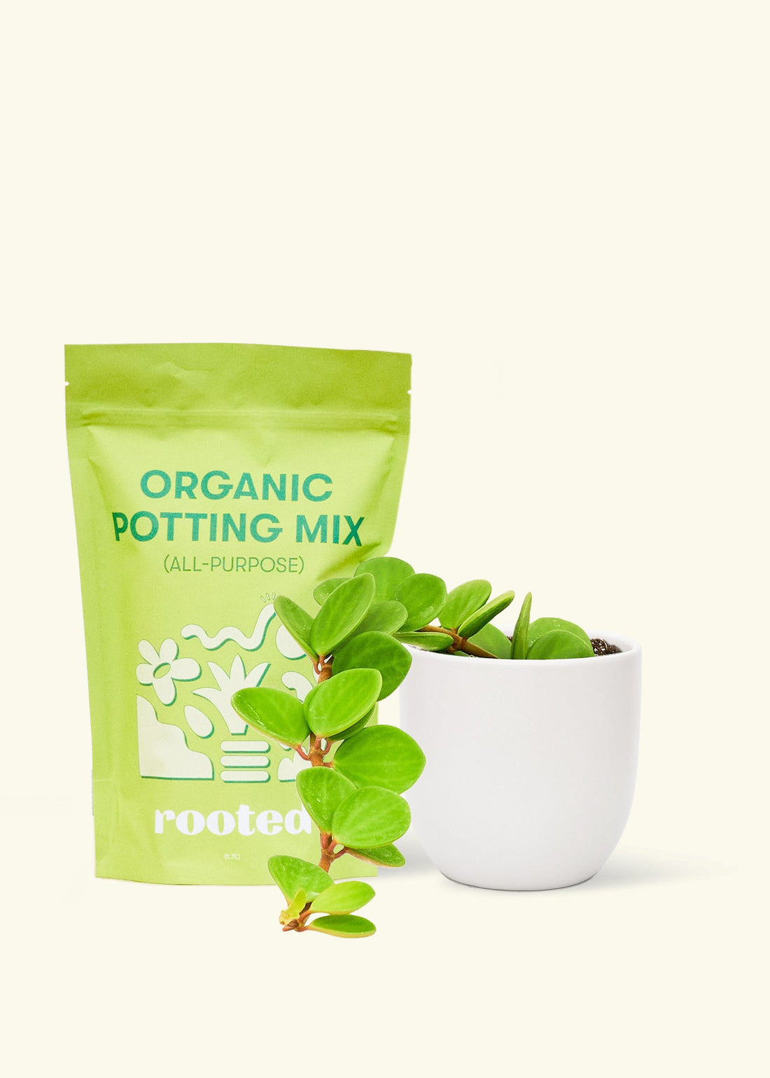 A bag of Organic Potting Mix to the left of a Peperomia &