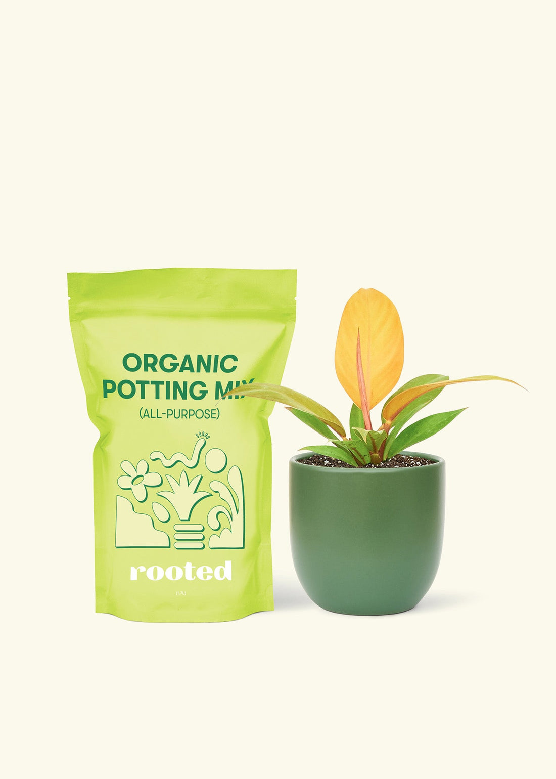 Small Philodendron Prince of Orange in a green rounded pot and a bag of soil.