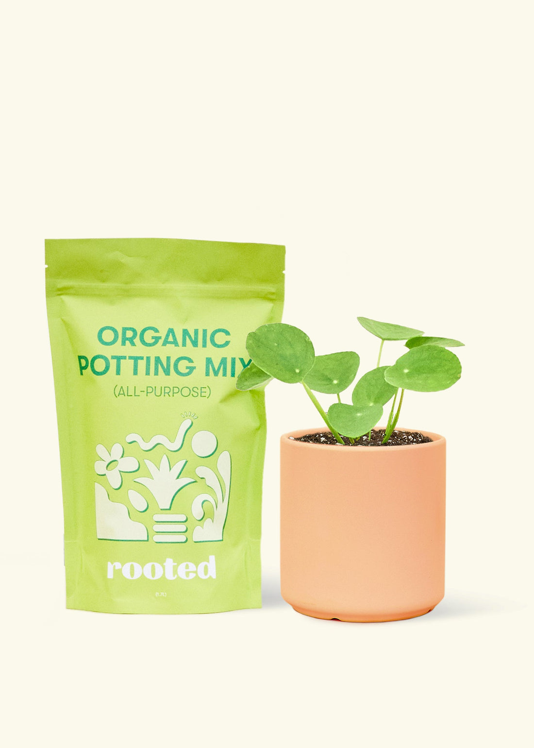 A bag of Organic Potting Mix to the left of a Chinese Money Plant in a peach cylinder ceramic pot.