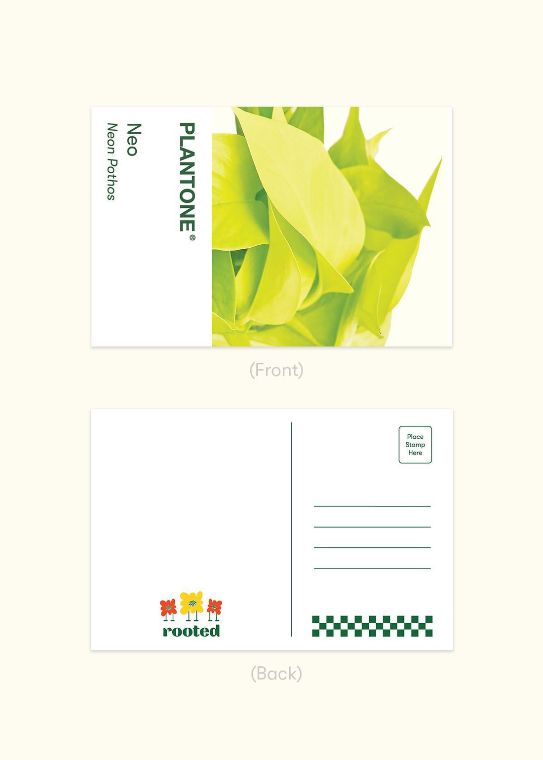 Plantone Postcard Set Merchandise Rooted 