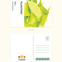 Plantone Postcard Set Merchandise Rooted 