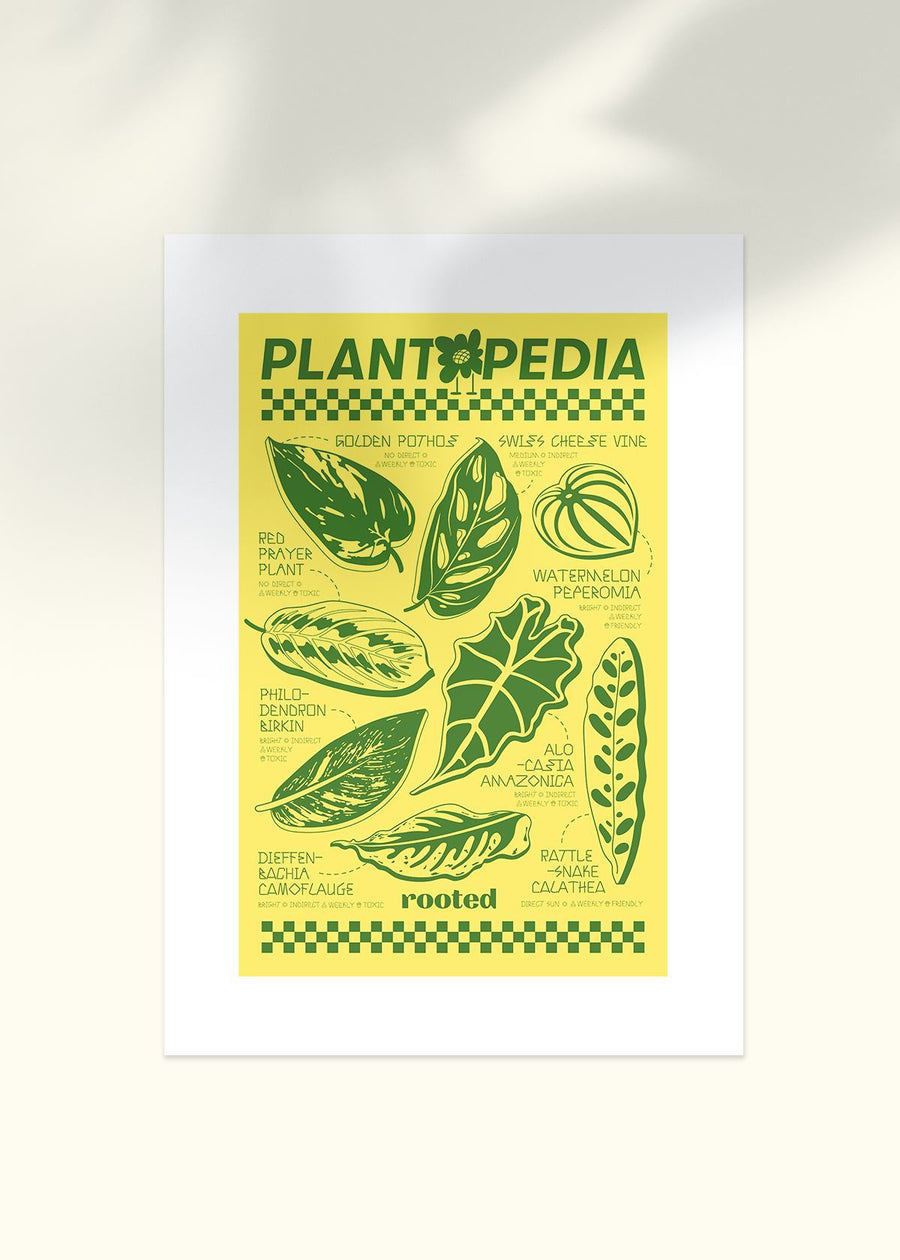 Plantopedia Poster Merchandise Rooted 