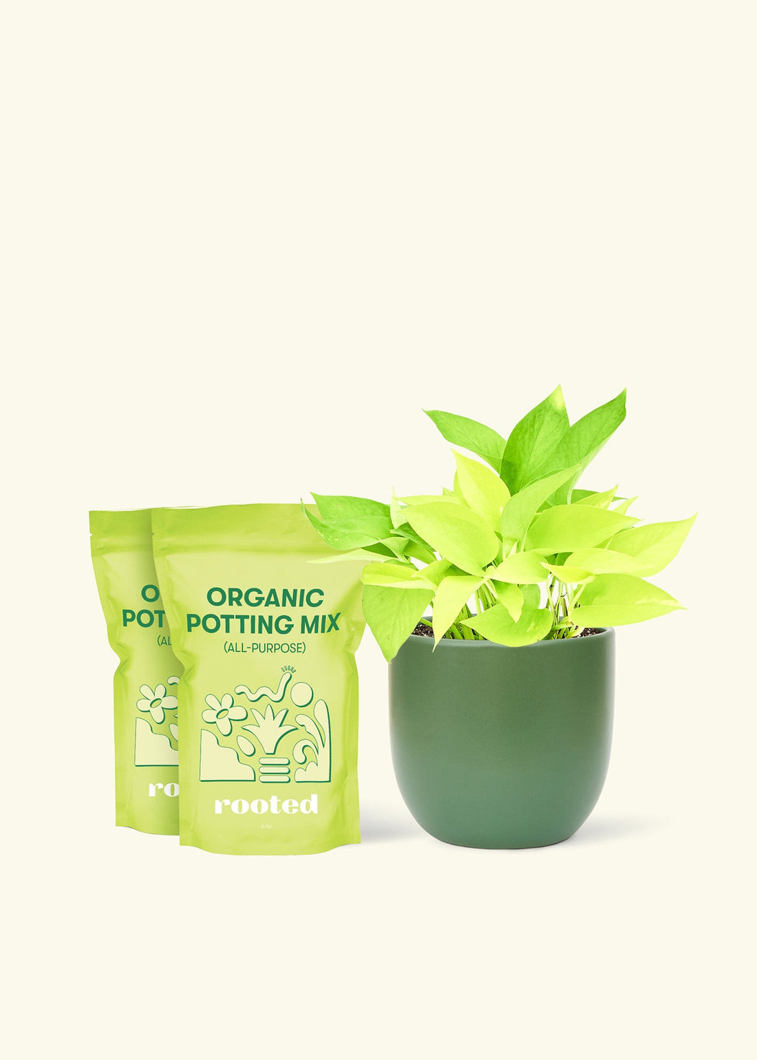 Medium Neon Pothos (Epipremnum aureum) in a green rounded pot and two bag of soil.