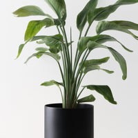 Classic Ceramic Planter Planter Peach & Pebble Black MD 