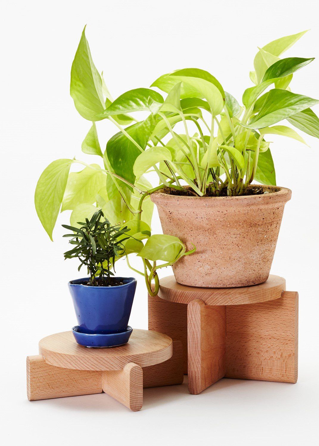 Wood Pedestal Set Planter Areaware 