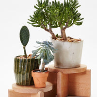 Wood Pedestal Set Planter Areaware 