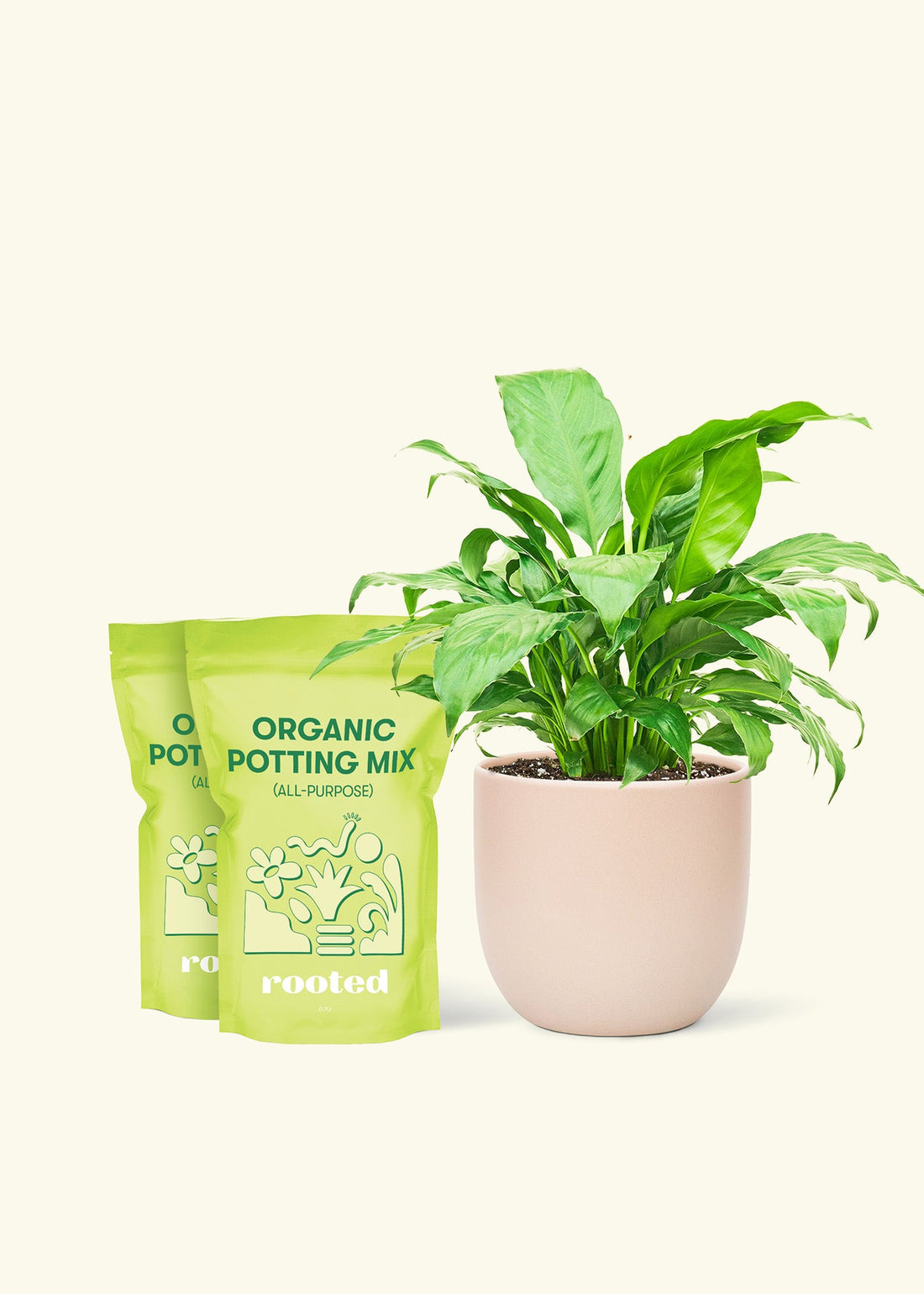 Medium Peace Lily (Spathiphyllum wallisii) in a pink rounded pot and two bag of soil.