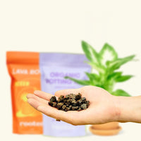 Potting Mix Trio