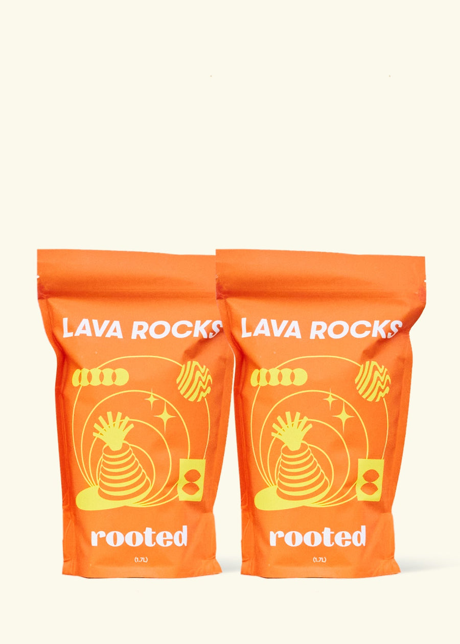 Lava Rocks Accessory Rooted 2PK