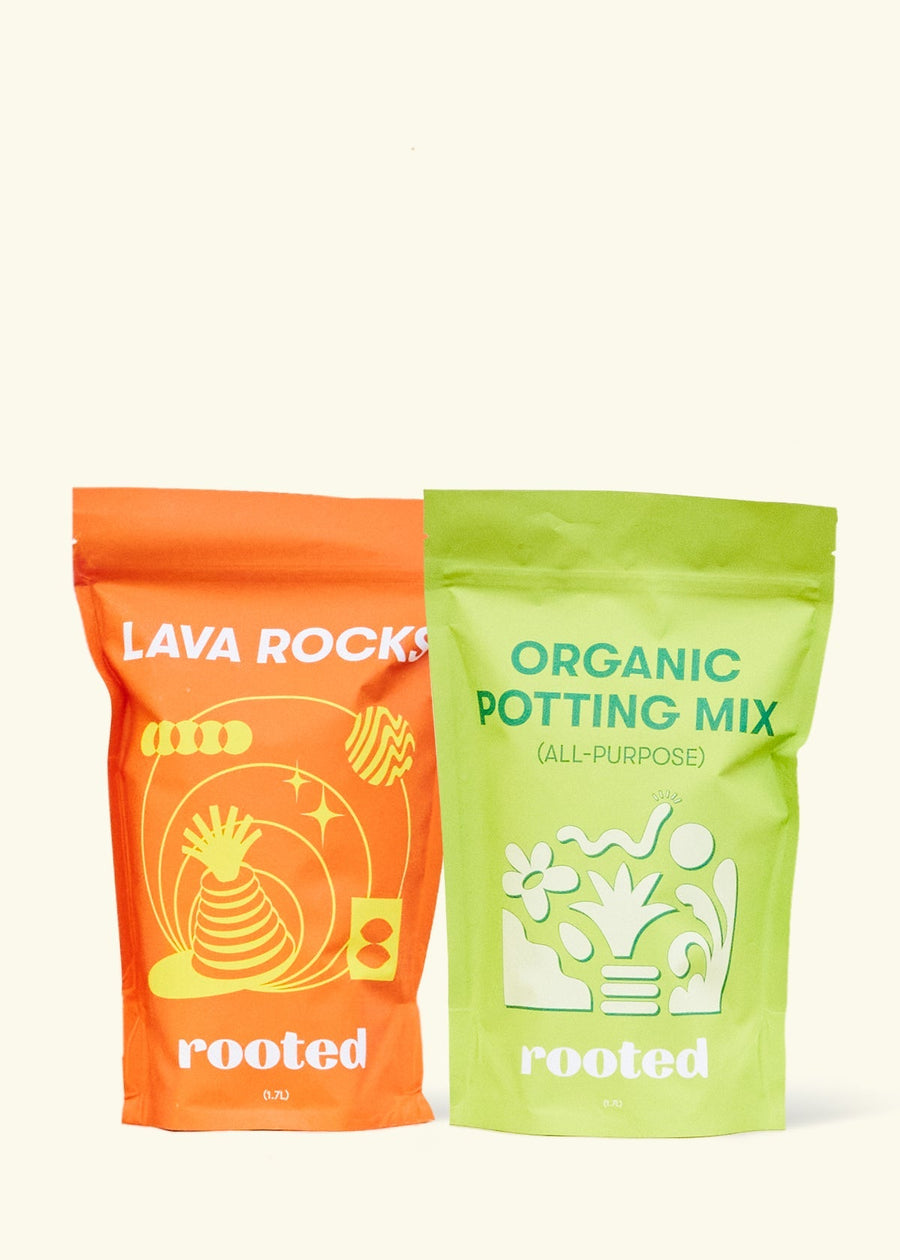 Potting Mixes: All-Purpose + Lava