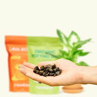Potting Mix Trio