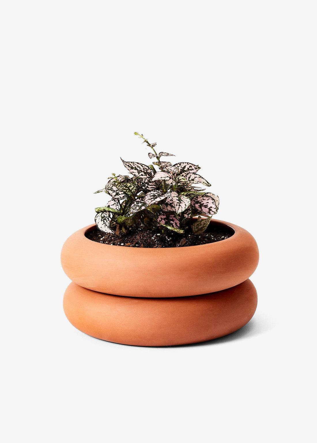 Stacking Planter Planter Areaware Terracotta SM 