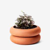 Stacking Planter Planter Areaware Terracotta SM 