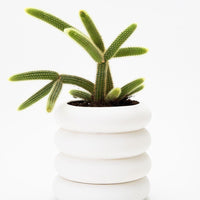 Stacking Planter Planter Areaware White LG 