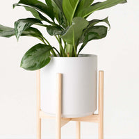 Classic Ceramic Planter + Natural Wood Stand Set Planter Peach & Pebble White LG Natural