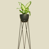 Coated Steel Standing Geometric Planter Planter NewMade LA Black 