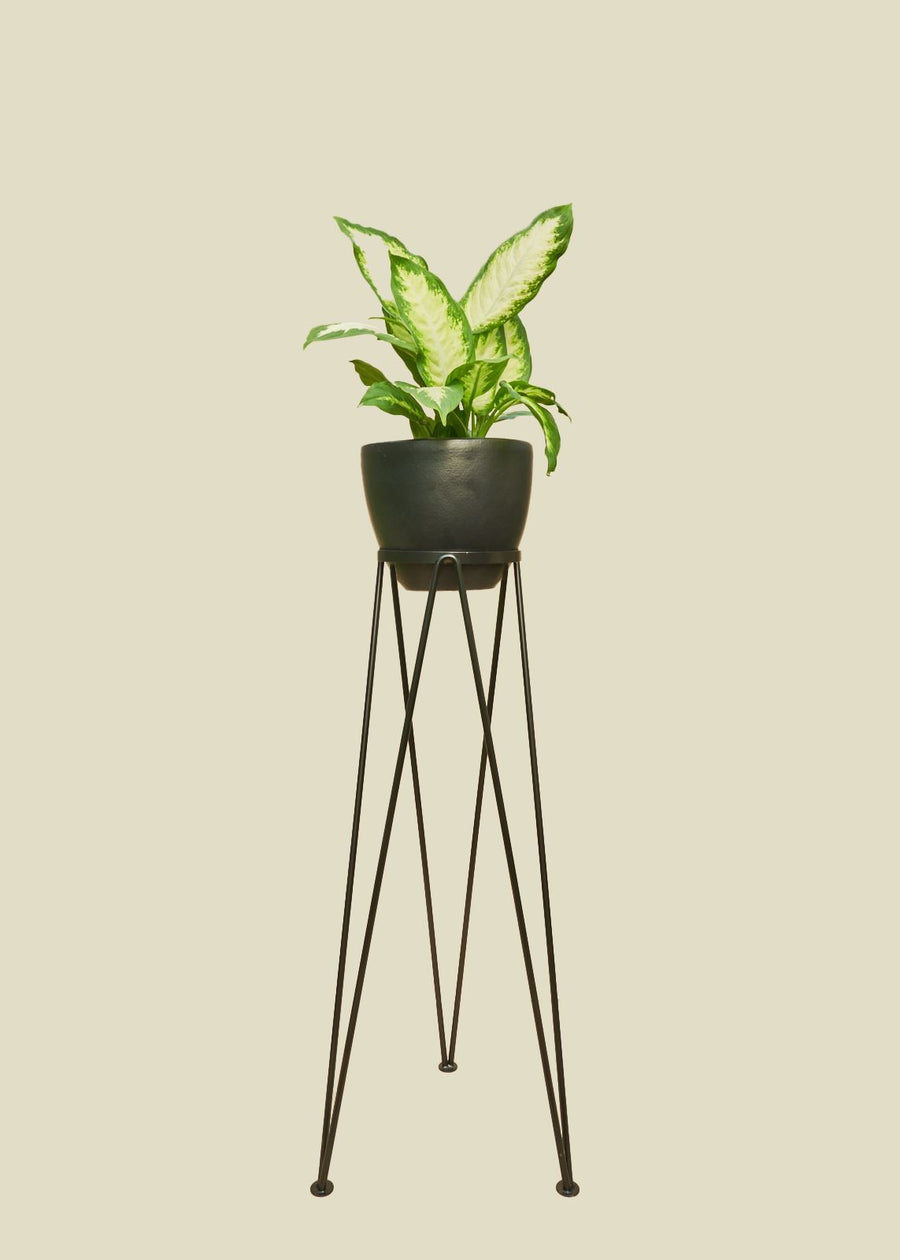 Coated Steel Standing Geometric Planter Planter NewMade LA Black 