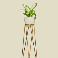 Coated Steel Standing Geometric Planter Planter NewMade LA 