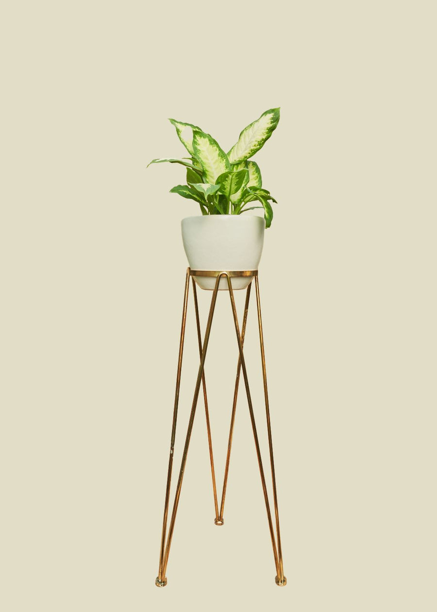 Coated Steel Standing Geometric Planter Planter NewMade LA 