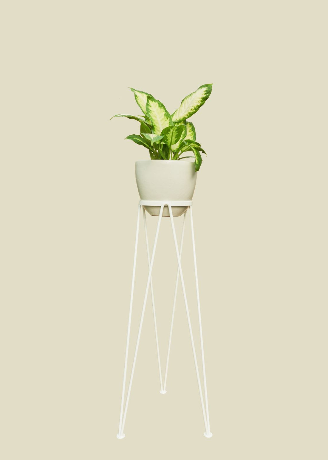 Coated Steel Standing Geometric Planter Planter NewMade LA White 